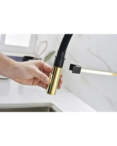 Смеситель для кухни Paulmark Halt HA214021-G