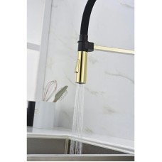 Смеситель для кухни Paulmark Halt HA214021-G