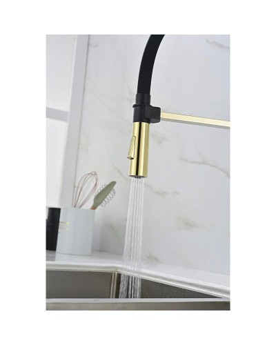 Смеситель для кухни Paulmark Halt HA214021-G