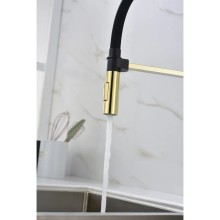 Смеситель для кухни Paulmark Halt HA214021-G