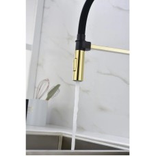 Смеситель для кухни Paulmark Halt HA214021-G