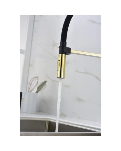 Смеситель для кухни Paulmark Halt HA214021-G