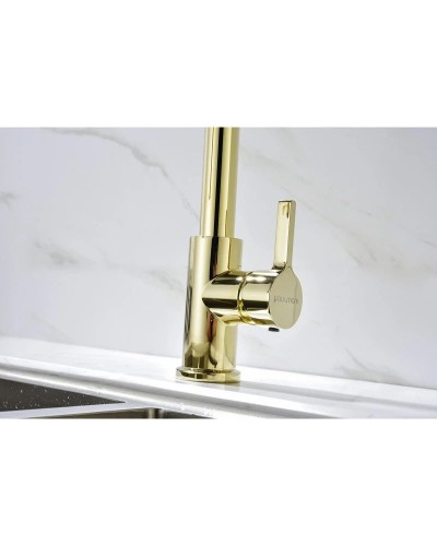 Смеситель для кухни Paulmark Halt HA214021-G