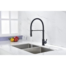 Смеситель для кухни Paulmark Halt HA214021-401