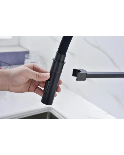 Смеситель для кухни Paulmark Halt HA214021-401