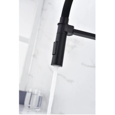 Смеситель для кухни Paulmark Halt HA214021-401