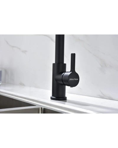 Смеситель для кухни Paulmark Halt HA214021-401