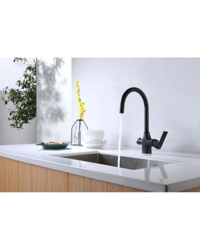 Смеситель для кухни с фильтром Lemark Ursus LM7261BL + H851P00