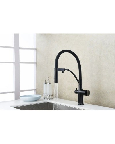 Смеситель для кухни с фильтром Lemark Bronx LM3761BL + H851P00