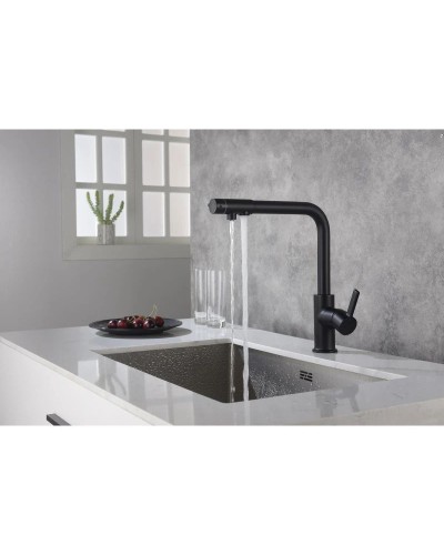 Смеситель для кухни с фильтром Timo Hette 1026/03F + H851P00