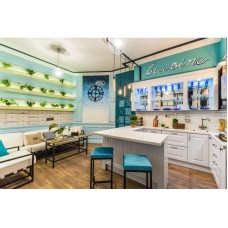 Смеситель для кухни с фильтром Omoikiri Tottori-SI античное серебро 4994046 + H851P00