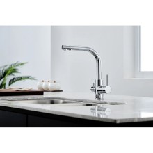 Смеситель для кухни с фильтром Paulmark Essen Es213011-CR + H851P00