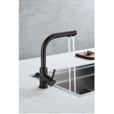 Смеситель для кухни с фильтром Paulmark Essen Es213011-GM + H851P00