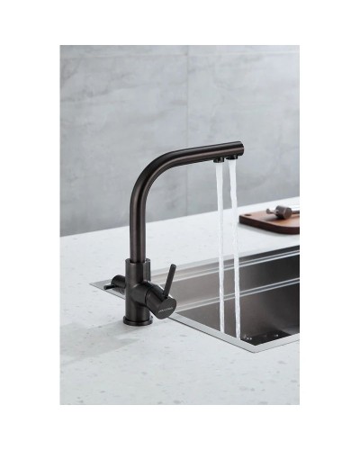 Смеситель для кухни с фильтром Paulmark Essen Es213011-GM + H851P00