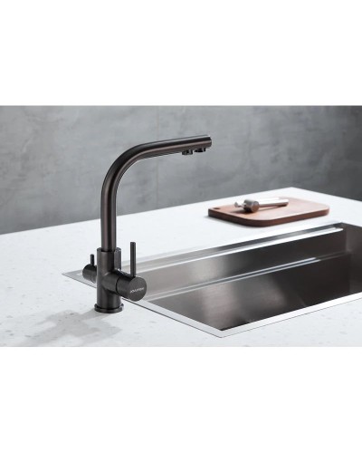 Смеситель для кухни с фильтром Paulmark Essen Es213011-GM + H851P00