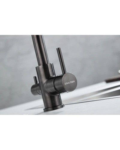 Смеситель для кухни с фильтром Paulmark Essen Es213011-GM + H851P00