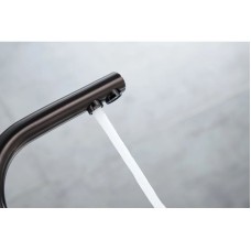 Смеситель для кухни с фильтром Paulmark Essen Es213011-GM + H851P00