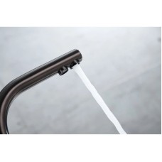 Смеситель для кухни с фильтром Paulmark Essen Es213011-GM + H851P00