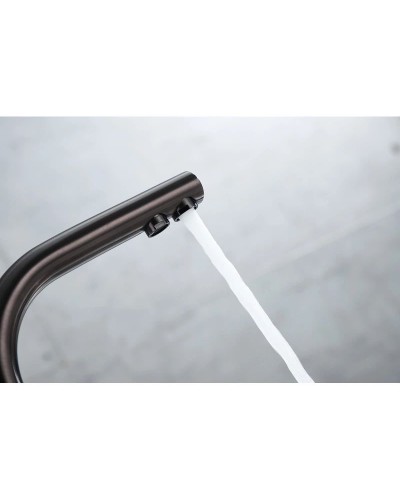 Смеситель для кухни с фильтром Paulmark Essen Es213011-GM + H851P00