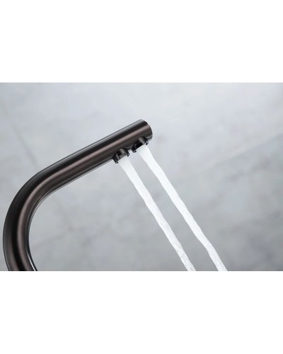 Смеситель для кухни с фильтром Paulmark Essen Es213011-GM + H851P00