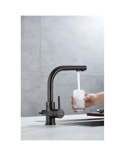 Смеситель для кухни с фильтром Paulmark Essen Es213011-GM + H851P00