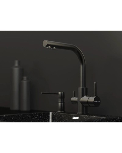 Смеситель для кухни с фильтром Paulmark Essen Es213011-GM + H851P00