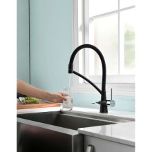 Смеситель для кухни с фильтром Paulmark Sigen Si213111-308 + H851P00