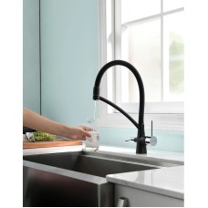 Смеситель для кухни с фильтром Paulmark Sigen Si213111-308 + H851P00