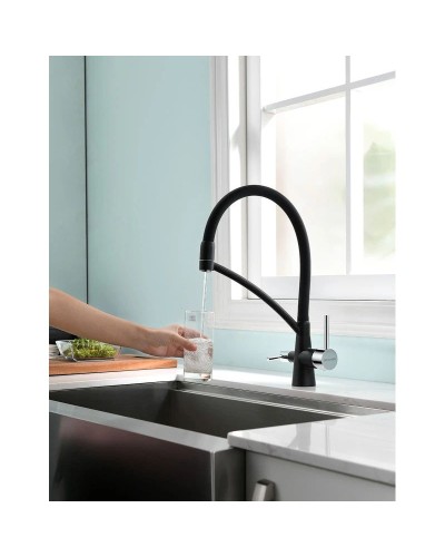 Смеситель для кухни с фильтром Paulmark Sigen Si213111-308 + H851P00