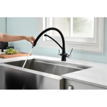 Смеситель для кухни с фильтром Paulmark Sigen Si213111-308 + H851P00