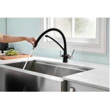 Смеситель для кухни с фильтром Paulmark Sigen Si213111-308 + H851P00