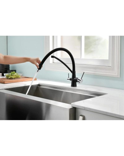 Смеситель для кухни с фильтром Paulmark Sigen Si213111-308 + H851P00