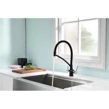 Смеситель для кухни с фильтром Paulmark Sigen Si213111-308 + H851P00