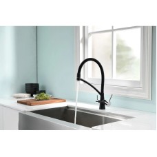 Смеситель для кухни с фильтром Paulmark Sigen Si213111-308 + H851P00