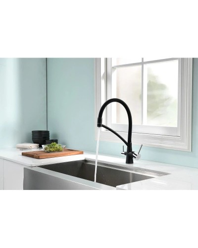 Смеситель для кухни с фильтром Paulmark Sigen Si213111-308 + H851P00