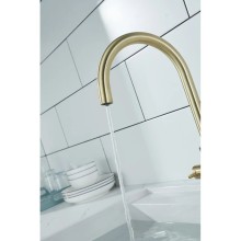 Смеситель для кухни с фильтром Paulmark Essen Es213211-BR + H851P00