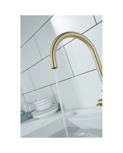 Смеситель для кухни с фильтром Paulmark Essen Es213211-BR + H851P00