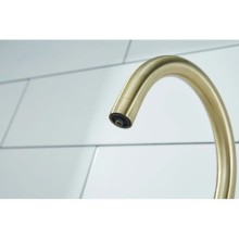 Смеситель для кухни с фильтром Paulmark Essen Es213211-BR + H851P00