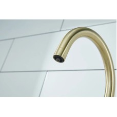 Смеситель для кухни с фильтром Paulmark Essen Es213211-BR + H851P00