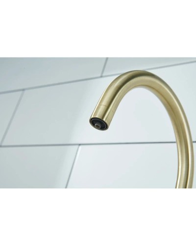 Смеситель для кухни с фильтром Paulmark Essen Es213211-BR + H851P00