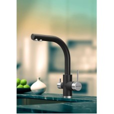 Смеситель для кухни с фильтром Paulmark Essen ES213011-401 + H851P00