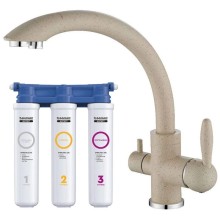 Смеситель для кухни с фильтром Paulmark Essen ES213001-328 + H851P00