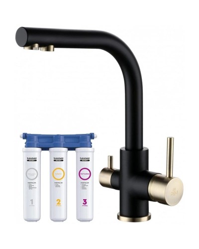 Смеситель для кухни с фильтром Paulmark Essen Es213011-401BR + H851P00