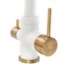 Смеситель для кухни с фильтром Paulmark Essen Es213011-431BR + H851P00