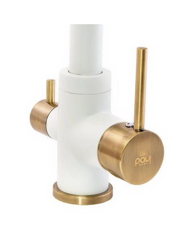 Смеситель для кухни с фильтром Paulmark Essen Es213011-431BR + H851P00