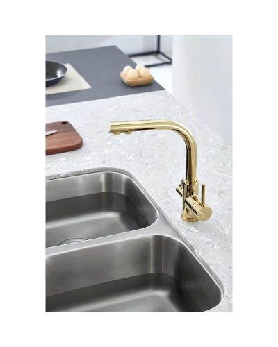 Смеситель для кухни с фильтром Paulmark Essen Es213011-G + H851P00