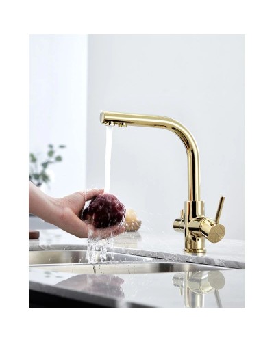 Смеситель для кухни с фильтром Paulmark Essen Es213011-G + H851P00