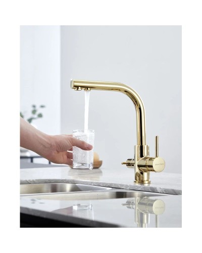 Смеситель для кухни с фильтром Paulmark Essen Es213011-G + H851P00