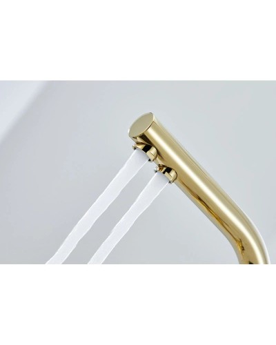 Смеситель для кухни с фильтром Paulmark Essen Es213011-G + H851P00