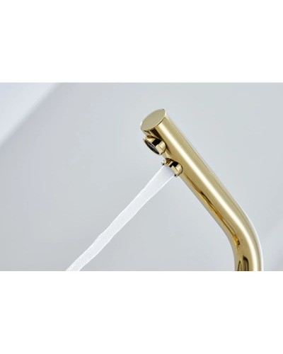 Смеситель для кухни с фильтром Paulmark Essen Es213011-G + H851P00